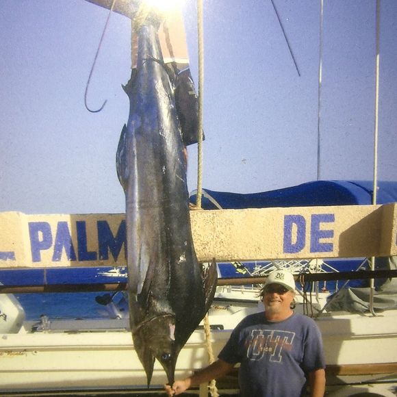 Meet your Posher, William - Picture 1 of 1